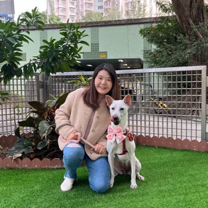 HKTA香港導師會